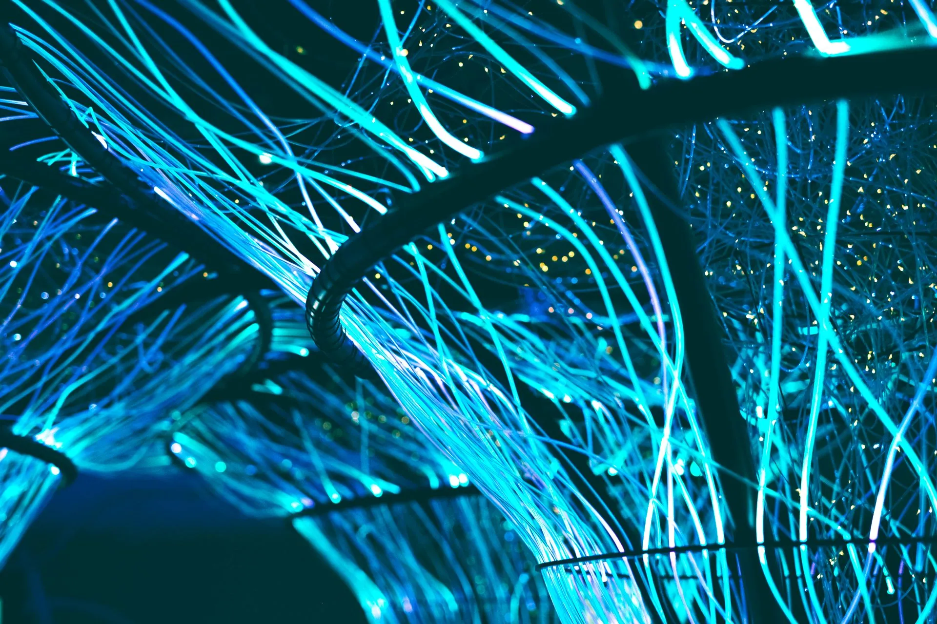 Blue lit fiber cables